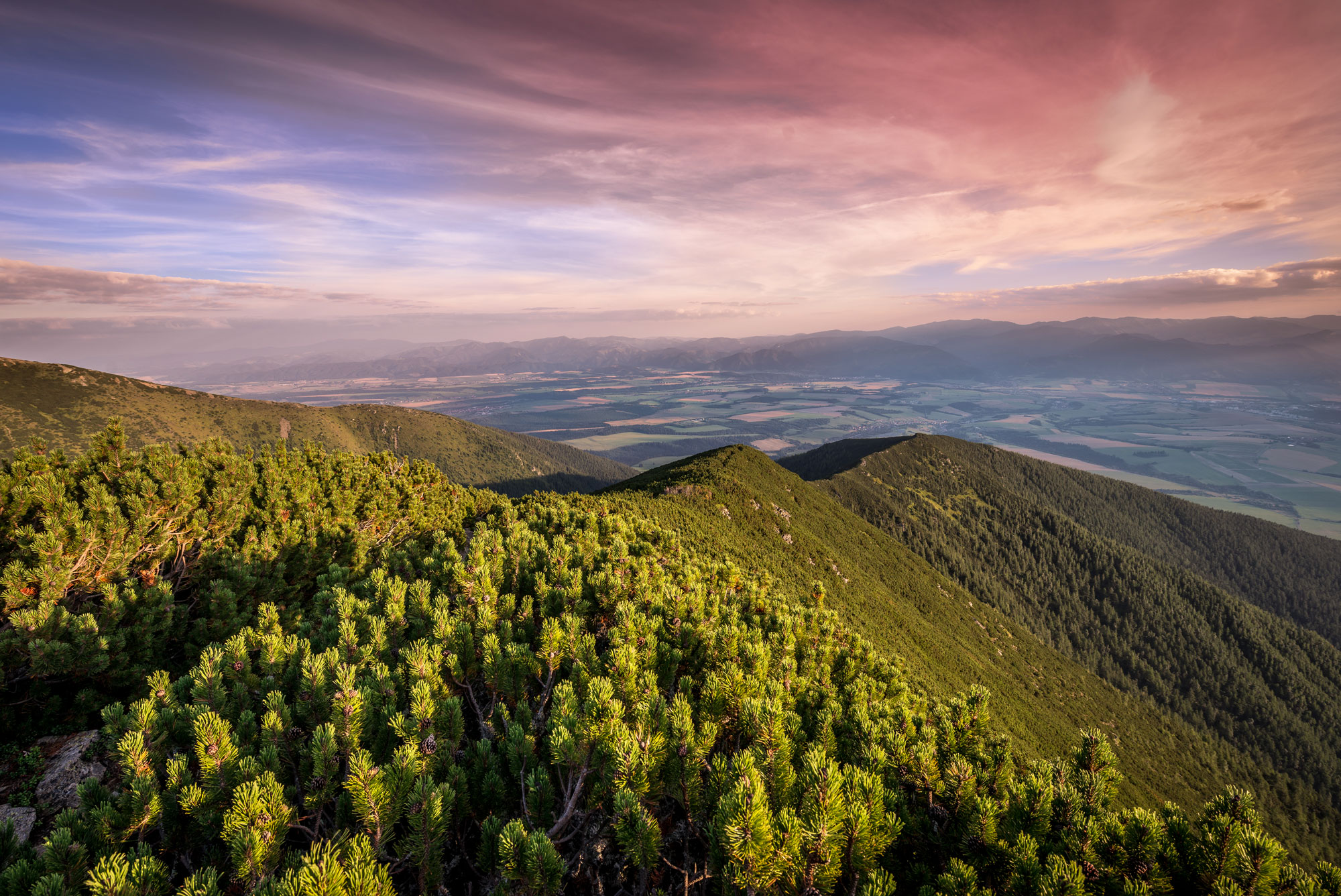 Západné Tatry