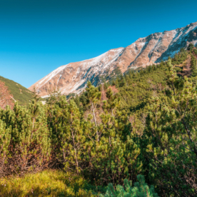 Západné Tatry